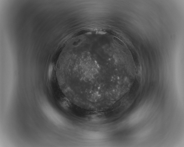 X0000113060095200908281143