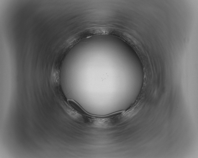 X0000113060096200908281143