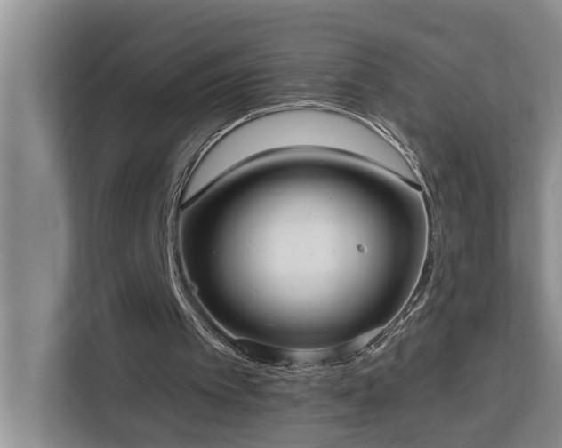 X0000113060097200908281142