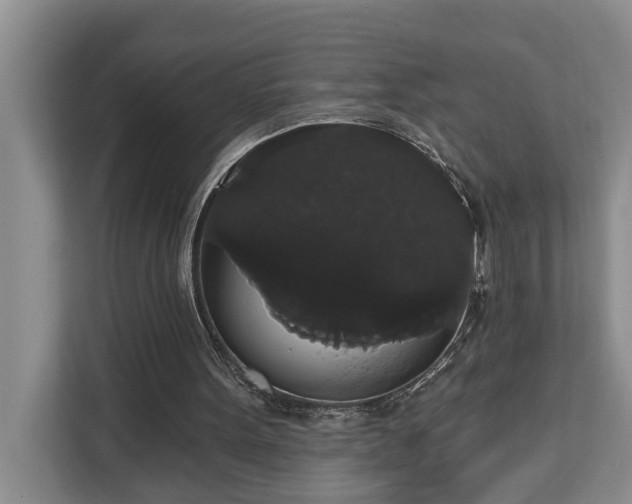 X0000113060099200908281142