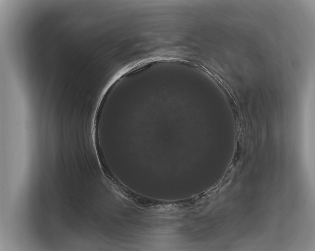 X0000113060100200908281142