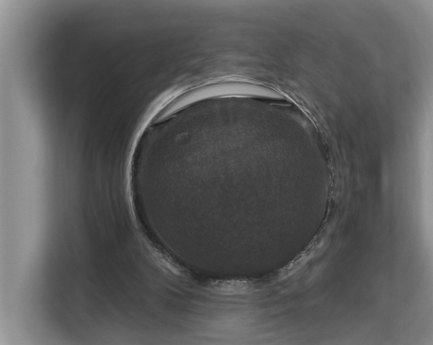 X0000113060104200908281142