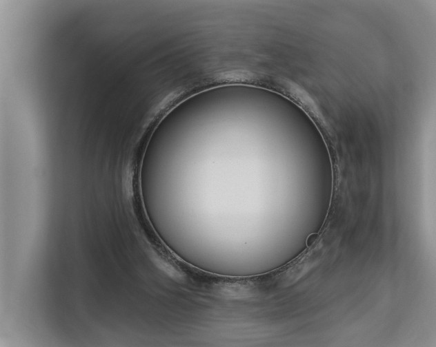 X0000113060106200908281142