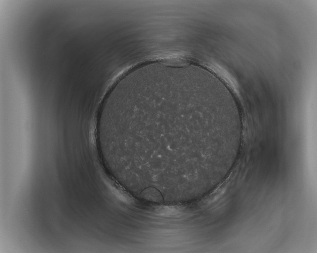 X0000113060107200908281142