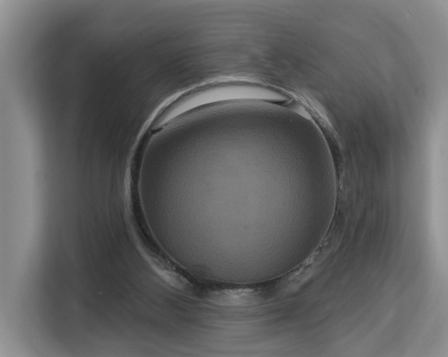 X0000113060108200908281142