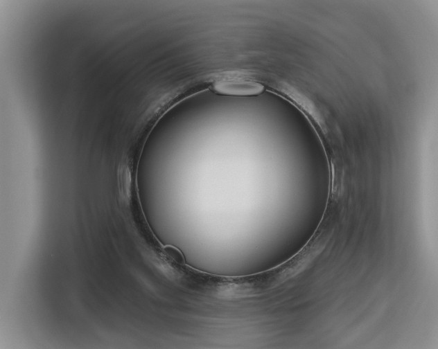 X0000113060109200908281142
