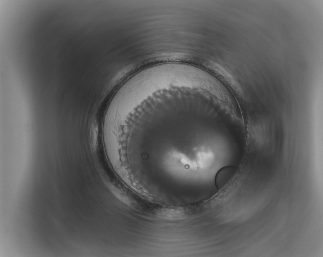 X0000113060110200908281142