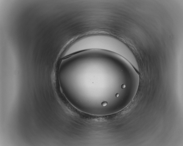 X0000113060112200908281142