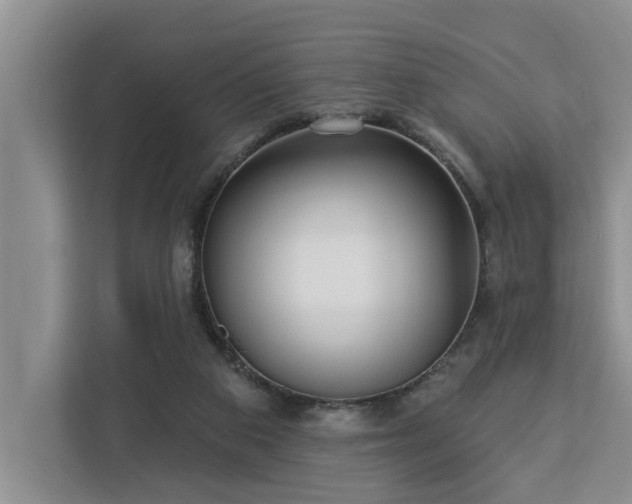 X0000113060113200908281142