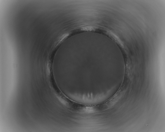 X0000113060114200908281142