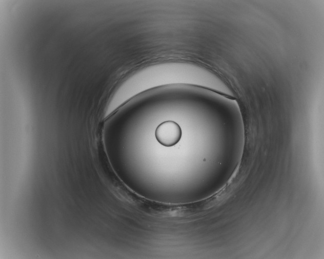 X0000113060116200908281142