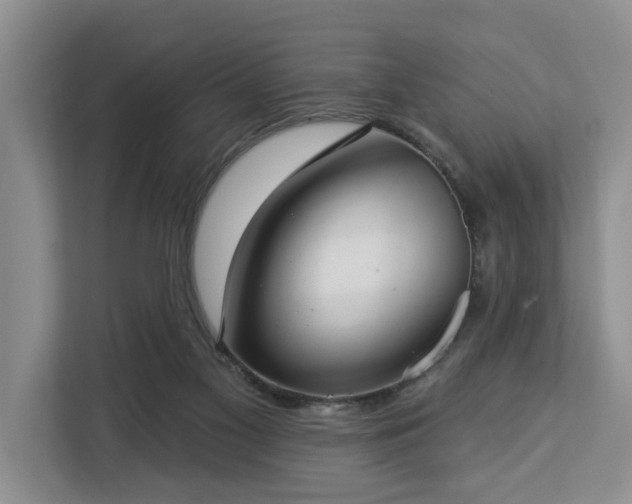 X0000113060117200908281142