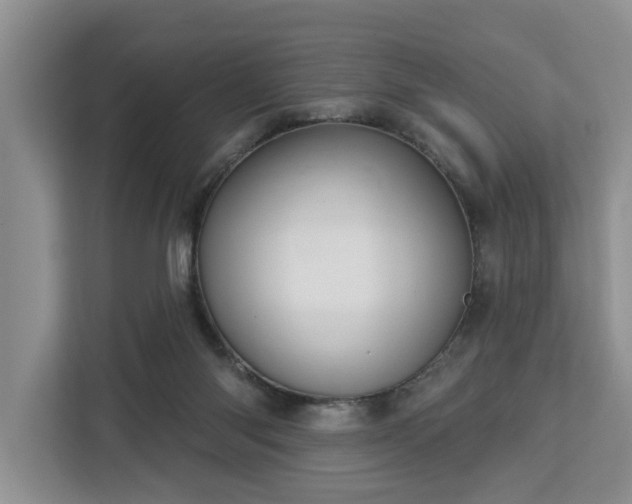 X0000113060118200908281142