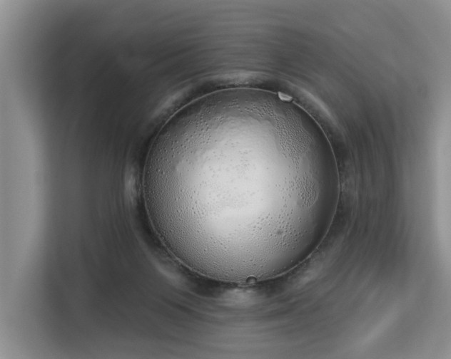 X0000113060119200908281142