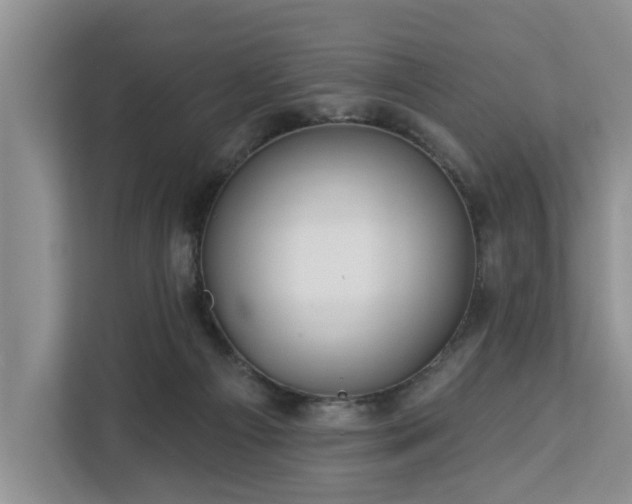 X0000113060121200908281142