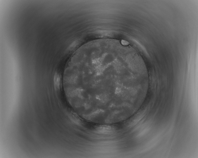 X0000113060123200908281142