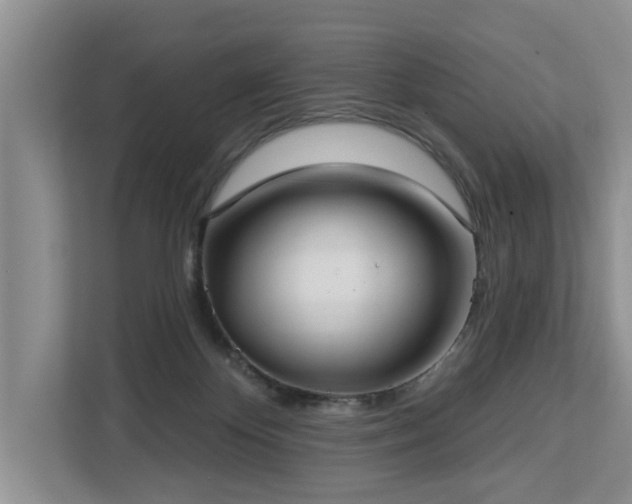 X0000113060124200908281142