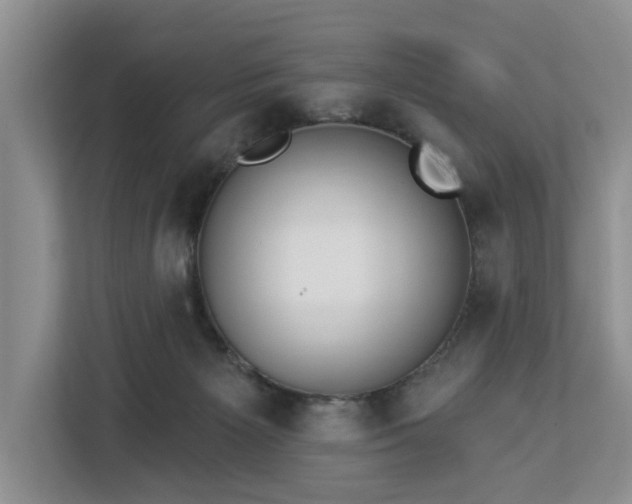 X0000113060125200908281142