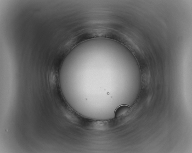 X0000113060126200908281142