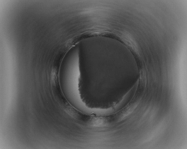 X0000113060127200908281142