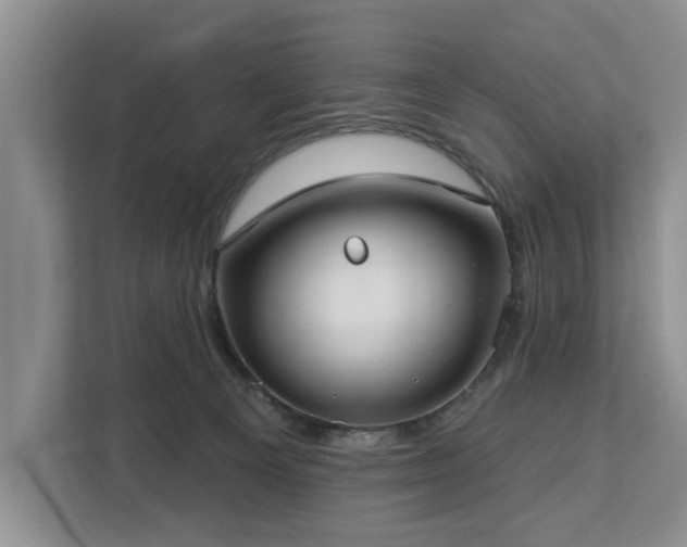 X0000113060129200908281142