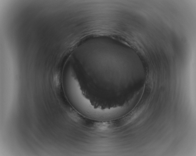 X0000113060131200908281142
