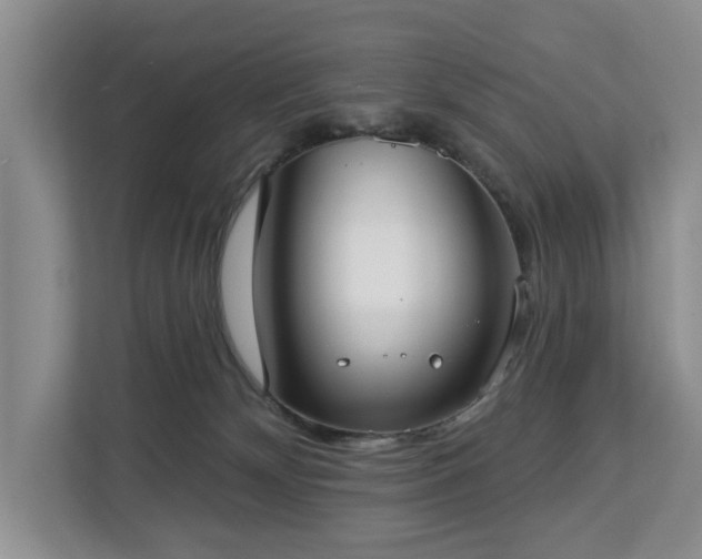 X0000113060132200908281142