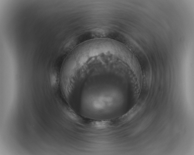 X0000113060134200908281142