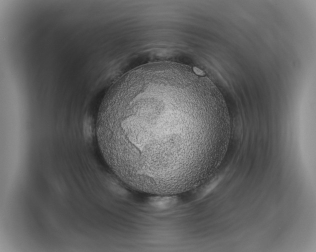 X0000113060135200908281142