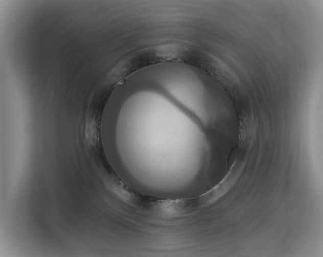 X0000113060136200908281142