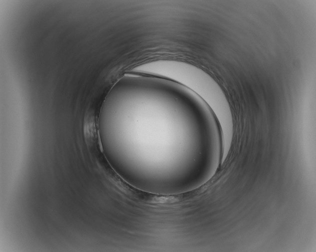 X0000113060137200908281142