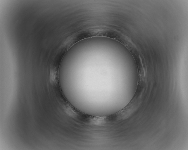 X0000113060138200908281142