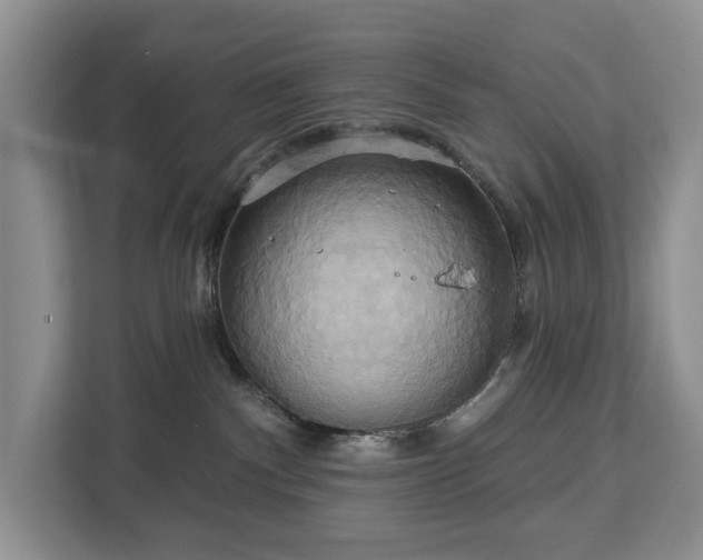 X0000113060140200908281142