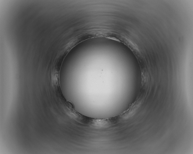 X0000113060141200908281142