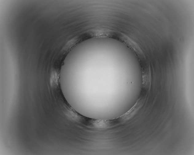 X0000113060142200908281142