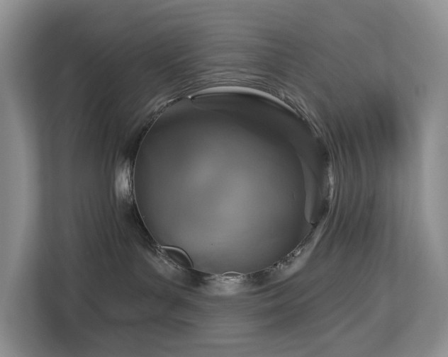 X0000113060143200908281142