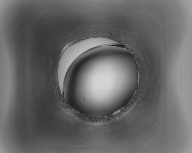 X0000113060144200908281142