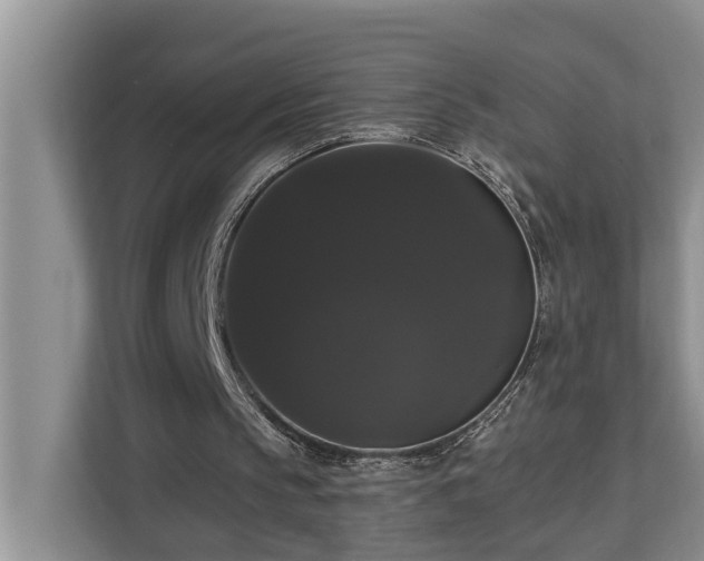 X0000113060145200908281141