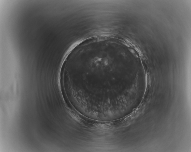 X0000113060147200908281141
