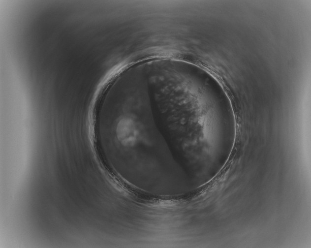 X0000113060149200908281141