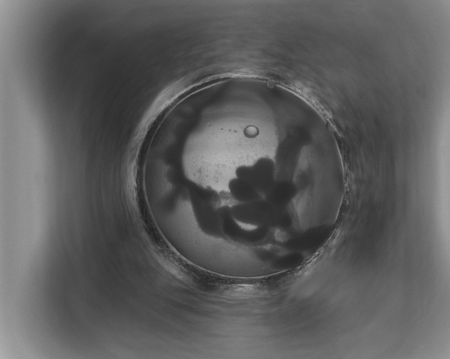 X0000113060151200908281141
