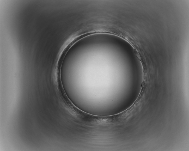 X0000113060152200908281141
