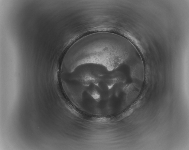 X0000113060153200908281141