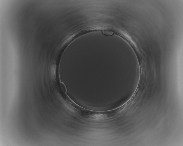 X0000113060154200908281141