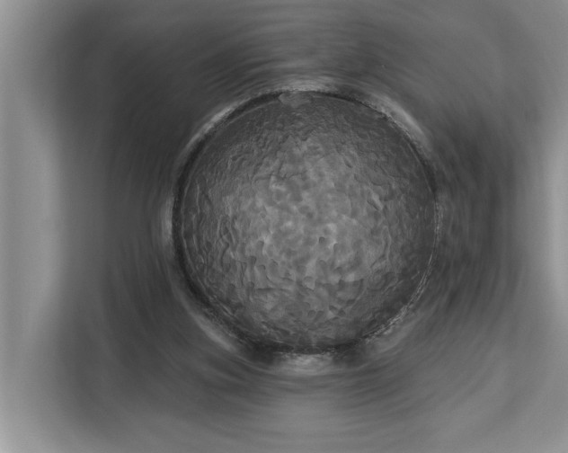 X0000113060155200908281141