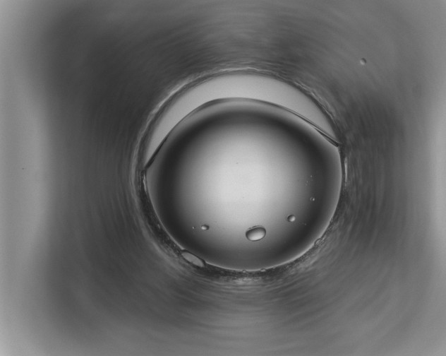 X0000113060156200908281141