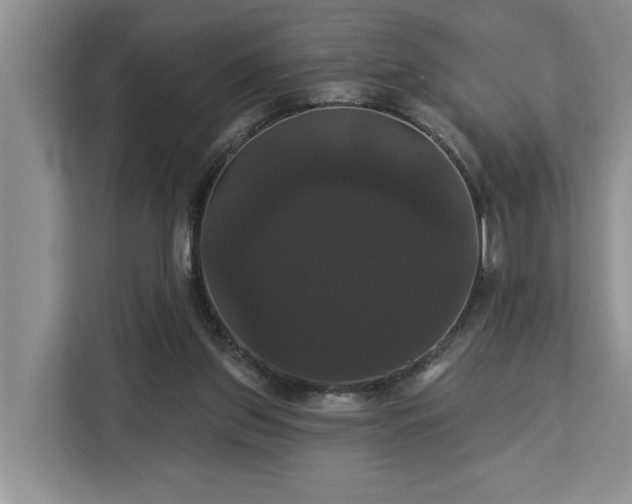X0000113060157200908281141