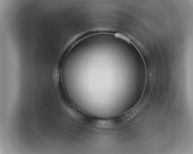 X0000113060160200908281141