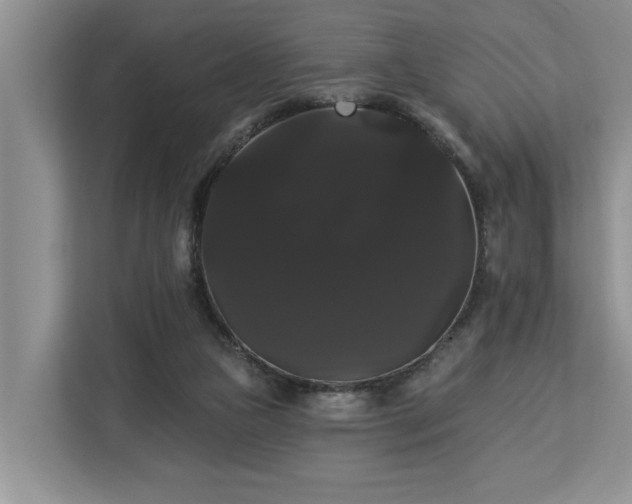 X0000113060161200908281141