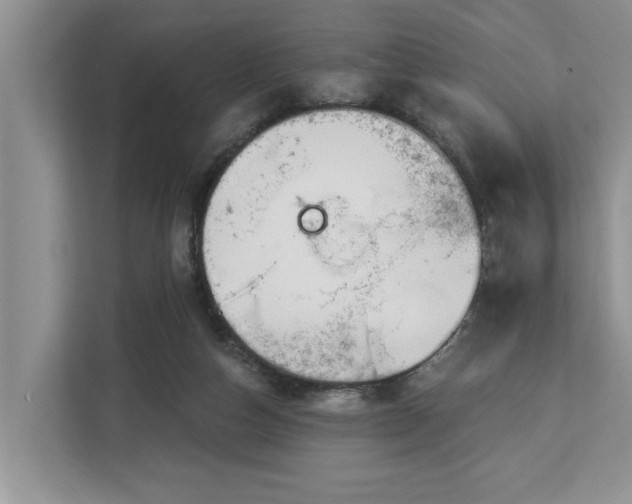 X0000113060162200908281141